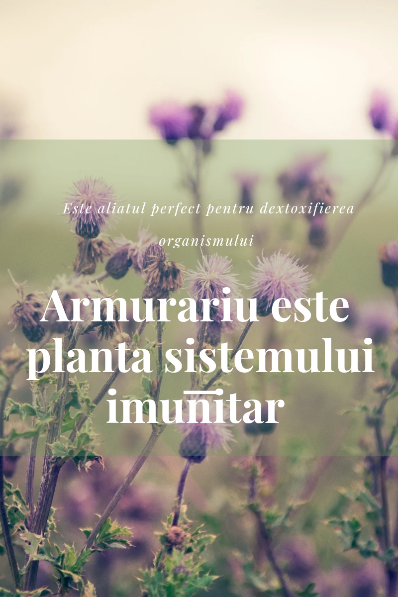Beneficiile consumului de Armurariu 